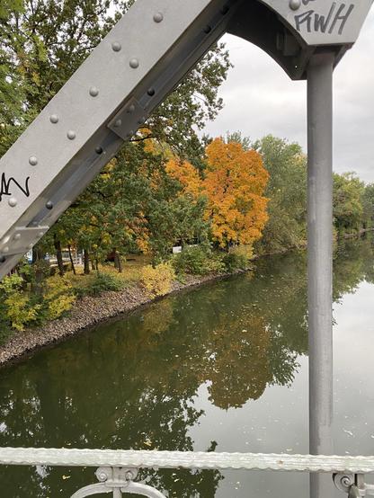 A scene on a suspension bridge in autumn.
The picture is framed by the metal structures of an old suspension bridge.
Inside the frame there‘s on tree with orange leaves amidst other trees with green leaves on the shore of a river.
The trees are being reflected by the water surface.
The sky is gray and cloudy.
