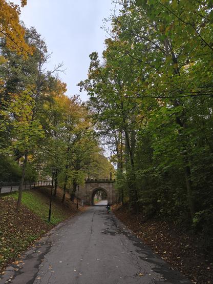 Eine Allee, die ein wenig wie ein Hohlweg wirkt. Der Fluchtpunkt des Bildes ist ein Durchgang unter einer Brücke.