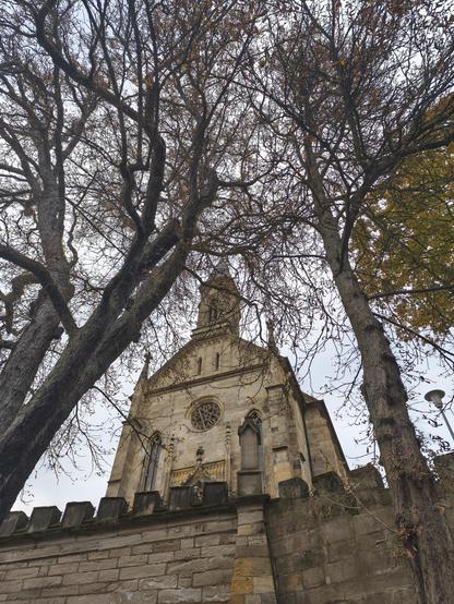 Im Vordergrund kahle Kastanien, im Hintergrund eine Mauer, überragt von einer Kirche, Coburg St.Augustin. bemerkenswert: Das kreisrunde Fenster mit Durchbrüchen, die aussehen wie ein Pentagramm.