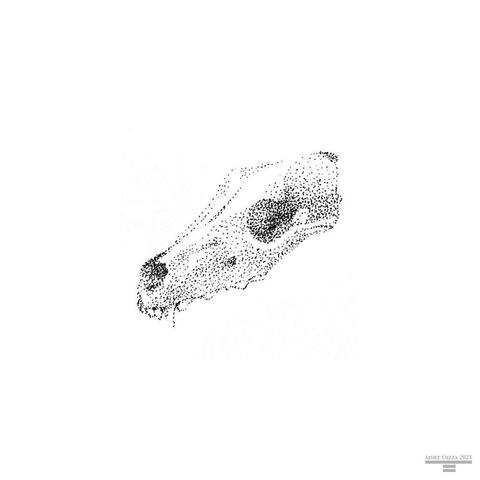 A tiny wolf skull in 3/4 view created out of stippled black ink.