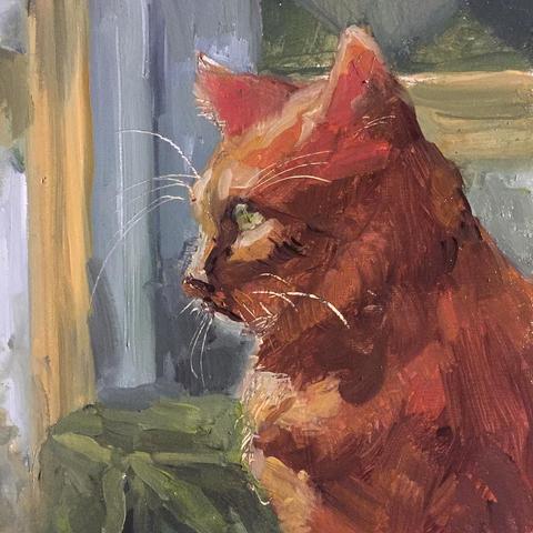 A ginger cat in profile looking out the window intently. Its eye and fur and a whisker lit up in the sunshine. Surrounded by green, blue, yellow furnishings. 
A very small realistic but loosely painted painting in oil.