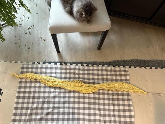 A photo of a yellow knitted object lying on a grey-and-white plaid measuring cloth - each stripe is 1" wide - which is atop beige foam pads in preparation for stretching the lace. If one looks closely, there are stiff shiny wires threaded through the edge stitches to simplify getting the edges properly aligned. However, the object is rolled rather baghuette-like rather than stretched flat, as the necessary pins to do so have not been located.

A supervisory cat sits atop a chair, making Quality Assurance observations.