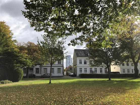 Zwischen weißen zweistöckigen Häusern ist im Hintergrund ein Hochhaus-Turm zu sehen. Im Vordergrund Parkanlage mit gelben Blättern auf dem Rasen. Sonnenlicht und Schatten.