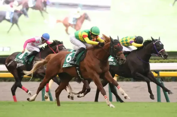 【サウジアラビアRC】エコロアルバ剛脚V！無傷連勝で重賞初制覇 - スポニチ Sponichi Annex ギャンブル