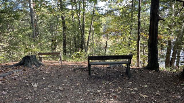 Photo of a “lookout” spot on the trail where two wooden benches are facing trees, which block most of the view