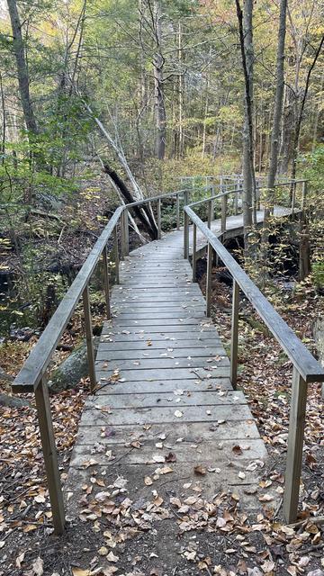 Vertical photo of a wooden walking bridge that winds over a dry riverbed