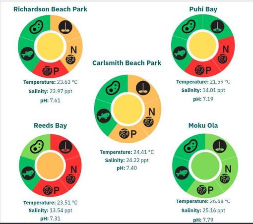 a graphic showing charts of water quality health for 5 beaches in hilo, HI. most of them contain some amount of contamination.