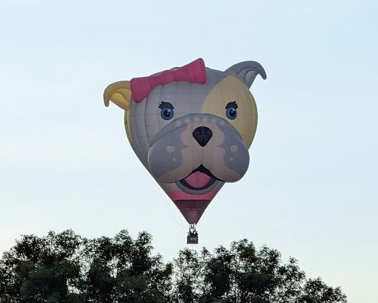 A hot air balloon that's designed to be a cute doggo wearing a pink bow and collar. She's drifting just above the tree line.