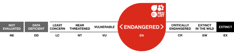 ICUN endangered logo