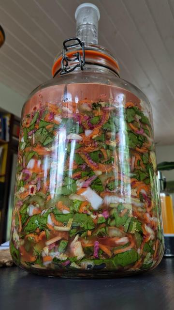 A very large glass vessel, with a hinged lid. Shredded vegetables and leaves fill the jar, in shades of white, yellow, orange, green, pink, and purple. Atop the vegetables are some thick terracotta weights.