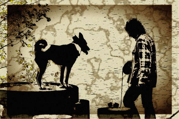 Ein Hund steht auf einem Tisch, daneben eine Person die unterwürfig nach unten schaut.
A dog stands on a table, next to it a person who looks down submissively.