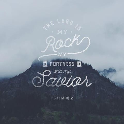 "The LORD is my rock, my fortress, and my savior;
my God is my rock, in whom I find protection.
He is my shield, the power that saves me,
and my place of safety." - Psalms 18:2 (NLT)