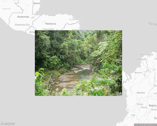 A photo of or from a national park from the linked website, overlaid on a cropped world map where it's located.