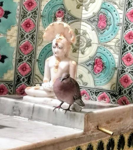 KI, überarbeitet

Foto in einem Jain Tempel. Eine Taube sitzt still neben einer Statue eines Tirthankara, eines geistigen Führers der Jain. Die Statue ist aus weißem Marmor. Sie sitzt im Lotussitz. Sie stellt eine nackte männliche Figur dar. Sie trägt einen Edelstein als Bindi zwischen den Augen. Über ihrem Kopf befindet sich eine Art Schirm. Vielleicht stellt die Figur Vishnu dar, der oft von Kobras geschützt wird. 
Das Bild zeigt eine Nahaufnahme einer Statue und einer Taube. Die Statue ist aus weißem Marmor und stellt eine sitzende Figur dar. Die Statue ist auf hellem Marmor platziert, die sich vor einem Hintergrund aus Fliesen befindet. Der Hintergrund besteht aus türkisfarbenen Fliesen mit rosa und weißen Blumenmotiven. 

Bereitgestellt von @altbot, privat und lokal generiert mit Gemma3:27b

🌱 Energieverbrauch: 0.093 Wh