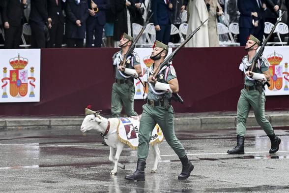 Foto de archivo de Killo, el borrego de la Legión, en el desfile del 12 de octubre de 2024. (Getty Images)