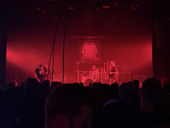 Oryx