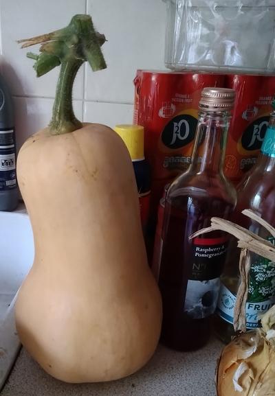 A freshly harvested butternut squash swanks with attitude on a kitchen sink