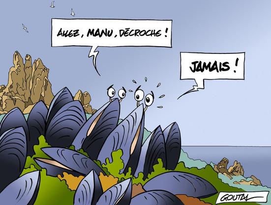 #dessinateur
#dessinateurdepresse
#goutal
#politiquefrancaise
#humour
#politique #societe
