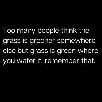 An image with the text, "Too many people think the grass is greener somewhere else but grass is green where you water it," emphasizing the importance of effort and commitment.