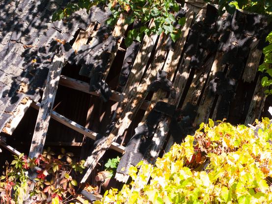 Looking through a fallen roof