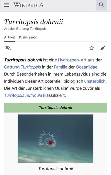 WIKIPEDIA
Turritopsis dohrnii
Art der Gattung Turritopsis
Artikel
Diskussion
Turritopsis dohrnii ist eine Hydrozoen-Art aus der Gattung Turritopsis in der Familie der Oceaniidae.
Durch Besonderheiten in ihrem Lebenszyklus sind die Individuen dieser Art potentiell biologisch unsterblich.
Die Art der „unsterblichen Qualle" wurde zuvor als Turritopsis nutricula klassifiziert.🖖