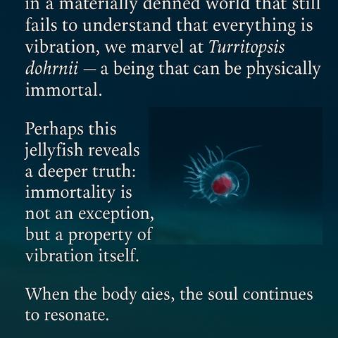 in a materially denned world that still fails to understand that everything is vibration, we marvel at Turritopsis dohrnii —a being that can be physically immortal.
Perhaps this jellyfish reveals a deeper truth: immortality is not an exception, but a property of vibration itself.
When the body aies, the soul continues to resonate.🖖