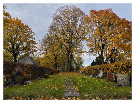 En liggande bild på en kyrkogård med några stora lövträden i bakgrunden, alla med orangea löv. I mitten leder en gång av stenplattor genom gräsmattan mellan två rader av gravstenar med låga häckar i höstfärger bakom. Himmelen är ljusblå med små molntussar.