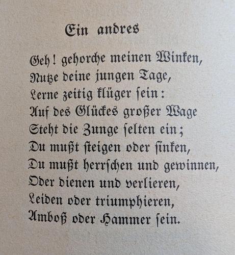 Nutze deine jungen Tage,
Lerne zeitig klüger sein:
Auf des Glückes großer Waage
Steht die Zunge selten ein;
Du mußt steigen oder sinken,
Du mußt herrschen und gewinnen,
Oder dienen und verlieren,
Leiden oder triumphieren,
Amboß oder Hammer sein.