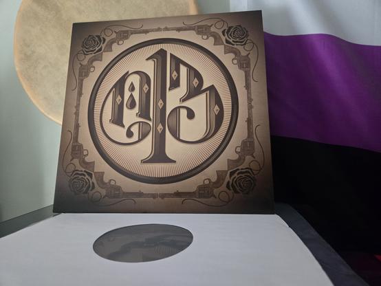 Nick 13 by Nick 13 displayed on my record player