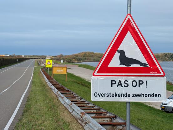 Ein Bild von einem Schild am Rand einer Straße, Brouwersdam/Niederlande. Das Schild hat ein rotes Dreieck mit einem schwarzen Seehund darauf. Unter dem roten Dreieck befindet sich ein rechteckiges Schild mit weißem Hintergrund und schwarzer Schrift. Die Straße verläuft geradeaus und ist durch eine rote Leitplanke begrenzt. Im Hintergrund befinden sich grüne Dünen und Wasser. Der Text auf dem Schild lautet: "PAS OP!" und darunter "Overstekende zeehonden".

Bereitgestellt von @altbot, privat und lokal generiert mit Gemma3:27b