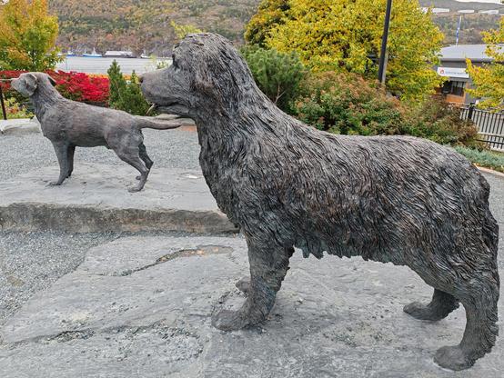 Picture of statues of a Newfoundland breed dog and a Labrador breed dog, set in a small memorial park in St. John's city, Newfoundland. The dogs are standing on all fours, in typical posture, looking in the same direction towards the left edge of the frame. A glimpse of the harbour water can be seen through the surrounding shrubbery.