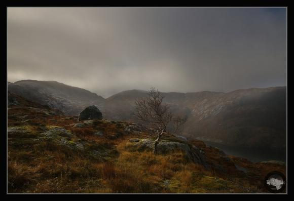 Mountains in the autumn mood.