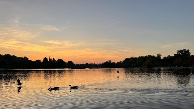 A calm lake at sunset with the sky glowing in soft orange and blue tones. Silhouettes of trees line the horizon, while several ducks or waterfowl glide across the reflective water in the foreground.