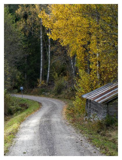 En stående bild på en grusväg som försvinner till vänster efter en blå skylt för mötesplats. Till höger står en liten, sliten grå träbyggnad. Löven på träden till vänster om vägen är gröna, de till höger gula.