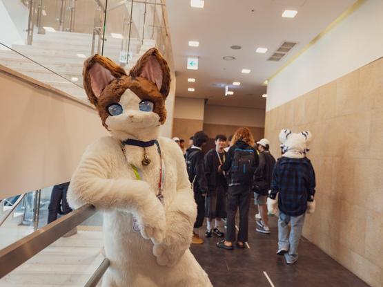 📷 : @UU_CATS