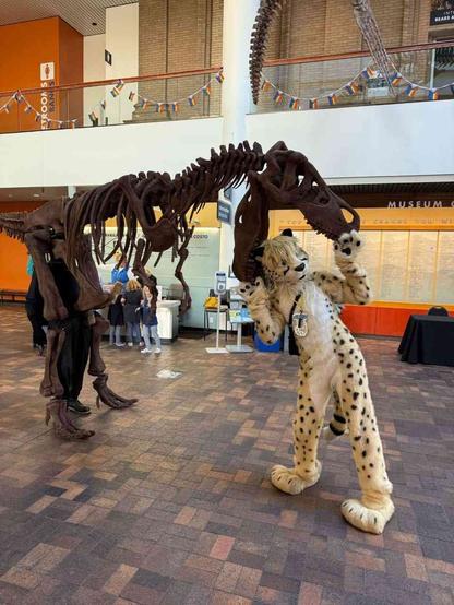 Shadow Cheetah (in fursuit) sticks head inside the jaws of a (fake) T-rex skeleton in a museum.