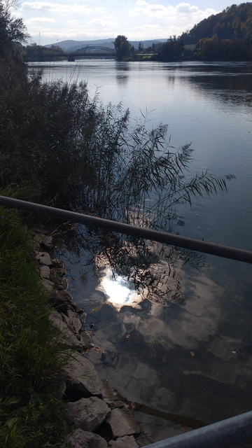 Blick von einer schwimmenden Anlegestelle auf die sich im Rhein nahe dem Ufer spiegelnden Sonne. Im Hintergrund die letzte Aarebrücke vor dem Zusammenfluss mit dem Rhein, eine Bogenkastenbrücke. Der Zusammenfluss ist mitten im Bild, aber aus dem Bild nicht ersichtlich.