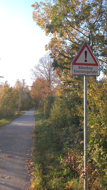 Geteerter Radweg mit Warn-Schild "Biberbau Einsturzgefahr" (Häh, was will uns dieses Schild sagen?)