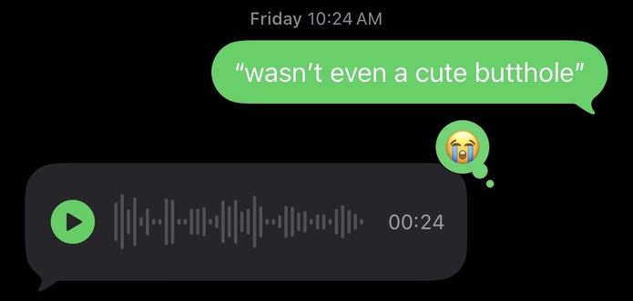 text messages screenshot:

sent: “wasn’t even a cute butthole”
received: [24 second voice note with sob react]