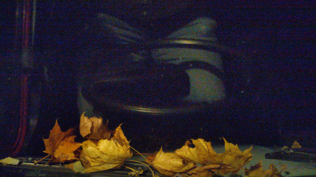 Diffus angeleuchtete Herbstblätter. Oberhalb spiegelt sich ein Einarmlenkrad und die Jeans der Person hinter dem Lenkrad in einer Scheibe. Der restliche Hintergrund ist dunkel bzw. ein Blick in die dunkle Nacht.