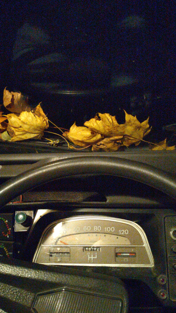 Bild hochkant, zeigt das Einarmlenkrad, den beigebraunen Tachometet und die Herbstblötter auf der Frontscheibe.