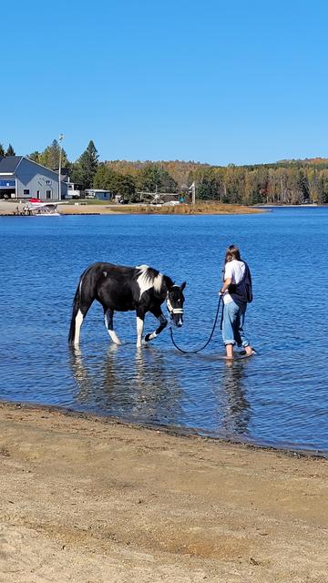 Girl with horse, standing in a mountain lake