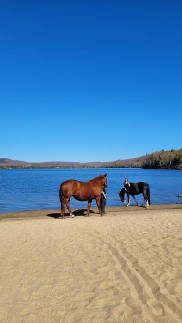 Lac Tibériade, Sainte-Véronique, Québec