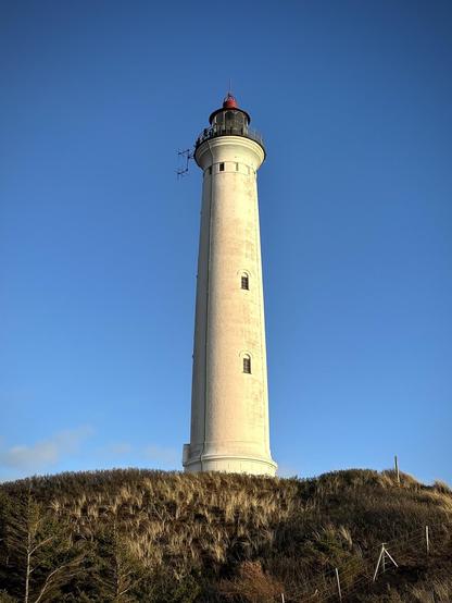 Tall white lighthouse with a red lantern room on top, standing on a grassy hill under a clear blue sky. The lighthouse is cylindrical, featuring small windows and surrounded by a low fence.