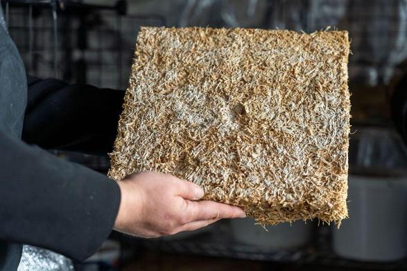 An example of façade insulation based on mushroom mesh; Image: Hof University of Applied Sciences