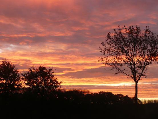 Sonnenaufgang mit Morgenröte aber einer Landschaft mit Bäumen an einem Tag im Oktober eines anderen Jahres