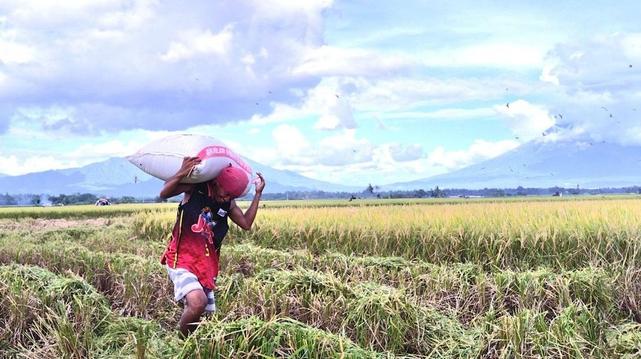 <p>CAGAYAN DE ORO, Philippines – Friends had warned whistleblower Niruh Kyle Antatico to take it easy.</p>



<p><em>“Ayaw pagkompyansa, barato ra kaayo ang kinabuhi karon</em>,” one of them told him. (Don’t let your guard down because life is cheap these days.)</p>



<p>But Antatico refused to stop. The former senior legal researcher at the <a href="https://www.rappler.com/philippines/n61727525-national-irrigation-administration/">National Irrigation Administration</a> (NIA) in Northern Mindanao said he could not turn away from the farmers who came to him, pleading for help.</p>


<div class="related-article ">
			<div class="related-article__container">
				<div class="related-article__text">
					<div class="related-article__eyebrow">Must Read</div>
					<div class="related-article__title">
						<a class="related-article__title-link" href="https://www.rappler.com/philippines/nia-irrigation-projects-stall-coa-report-february-1-2025/">
							<h1 class="related-article__title-text"> NIA blunders leave farmers dry as P2B in irrigation projects stall </h1>
						</a>
					</div>
				</div>
				<div class="related-article__media-container">
					<div class="related-article__media">
						<a href="https://www.rappler.com/philippines/nia-irrigation-projects-stall-coa-report-february-1-2025/">
					 		<img alt="NIA blunders leave farmers dry as P2B in irrigation projects stall" class=" wp-image-2820489 wp-post-image" height="251" src="https://www.rappler.com/tachyon/2024/10/Farm