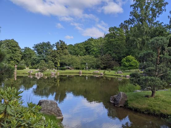 Un étang entouré d'arbres, dans un jardin d'inspiration japonaise à Tallinn, Estonie. Le ciel est bleu avec quelques petits nuages blancs. Les arbres et le ciel se reflètent dans l'eau.