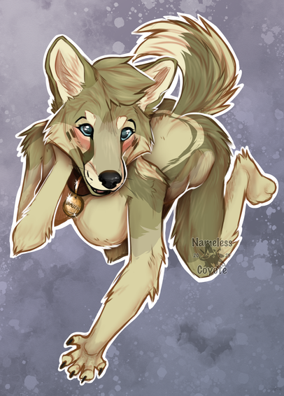 A anthro Coyote on all fours looking up at the viewer