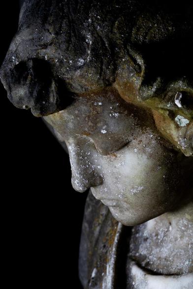 A statue. A statue in a cemetery. A view only of the face from the side. A cherub or an angel with curly stone hair. There is a dusting of brown lichen on the hair. The face is looking down somberly with closed eyes.